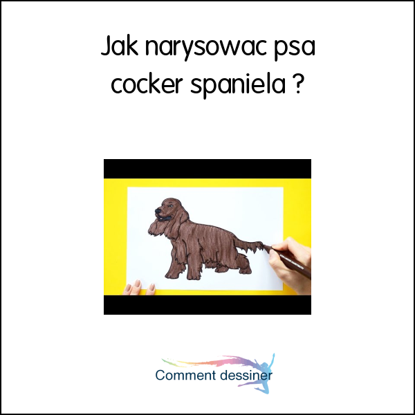 Jak narysować psa cocker spaniela